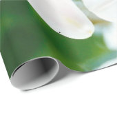 ホワイトリイ – ユリ花ユリ候補 ラッピングペーパー (ロールコーナー)