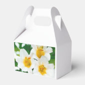 ホワイトリイ – Lilium candidum フェイバーボックス (裏面サイド)