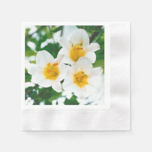ホワイトリイ – Lilium candidum 縁ありカクテルナプキン (正面)