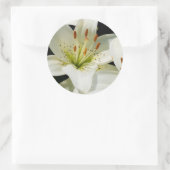 ホワイトリエステッカー ラウンドシール (バッグ)