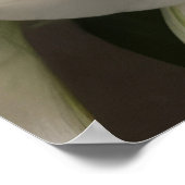 ホワイトリエンタルリリー花 ポスター (角)