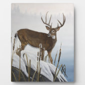 ホワイトリジカ フォトプラーク (正面)