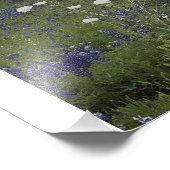 ホワイトリックポピー フォトプリント            (角)