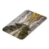 ホワイトリバーナショナルフォレストコロラド マグネット (左側)