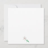 ホワイトリリーイラストレーション カード (裏面)