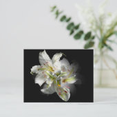 ホワイトリリーファンタジー ポストカード (スタンド正面)