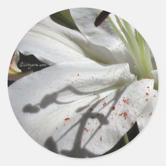 ホワイトリリー結婚式招待状シール ラウンドシール (正面)