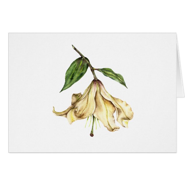 ホワイトリリー (正面横)