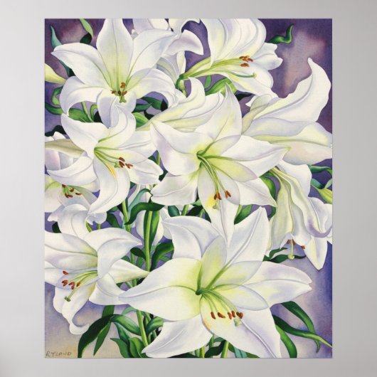 ホワイトリリー2008 ポスター (正面)