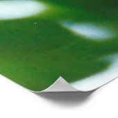 ホワイトリリー – カンジダム ポスター (角)