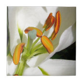 ホワイトリリー タイル (正面)