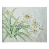 ホワイトリリー フォトプリント            (正面)