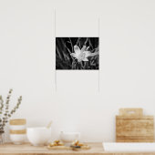 ホワイトリリー ポスター (キッチン)