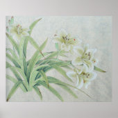 ホワイトリリー ポスター (正面)