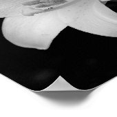 ホワイトリリー ポスター (角)