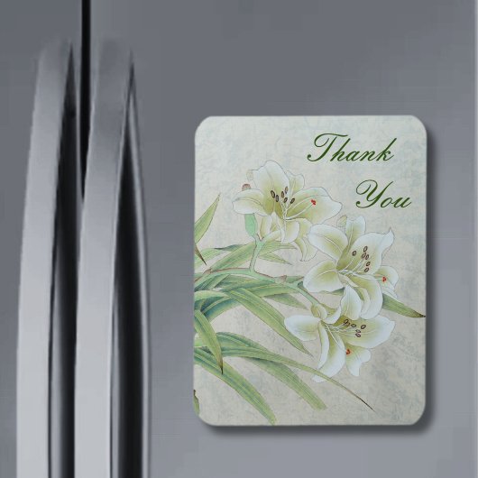 ホワイトリリー マグネット