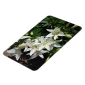 ホワイトリリー マグネット (左側)