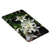 ホワイトリリー マグネット (右側)