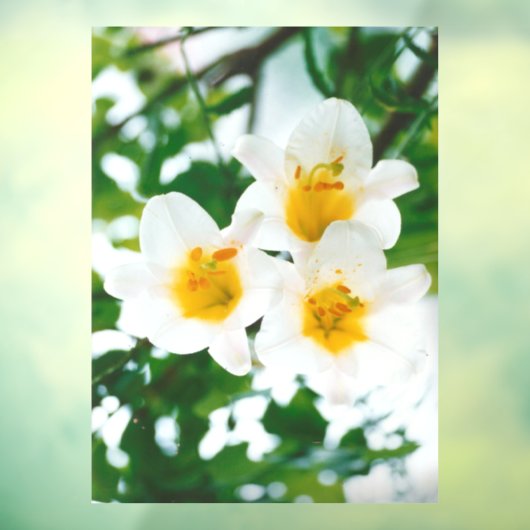 ホワイトリリー – 愛のシンボル ウィンドウサイン (シート3)