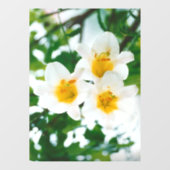 ホワイトリリー – 愛のシンボル ウィンドウサイン (シート)