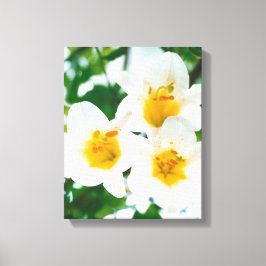 ホワイトリリー – 愛のシンボル キャンバスプリント