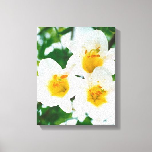 ホワイトリリー – 愛のシンボル キャンバスプリント (正面)