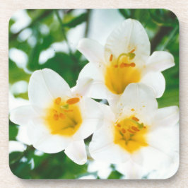 ホワイトリリー – 愛のシンボル コースター