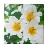 ホワイトリリー – 愛のシンボル タイル (正面)