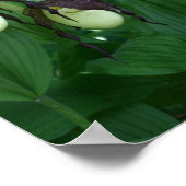 ホワイトレディースリッパーオーキッドフラワークラッチ ポスター (角)