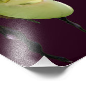 ホワイトレディースリッパーオーキッドフラワー8x8 フォトプリント            (角)