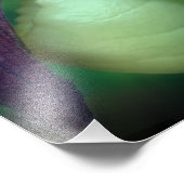 ホワイトレディ独身のースリッパーオーキッドフラワー8x8 フォトプリント            (角)