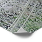 ホワイトレースのポスター ポスター (角)