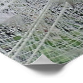 ホワイトレースポスター ポスター (角)