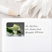 ホワイトレース上のカラーリリー ラベル (インサイチュ)