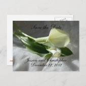 ホワイトレース上のカラ・リリー日付を保存 案内ポストカード (正面/裏面)