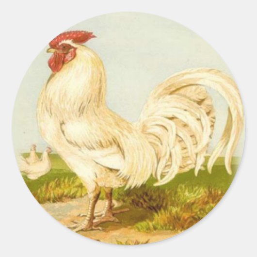 ホワイトロスタースティッカー ラウンドシール (正面)