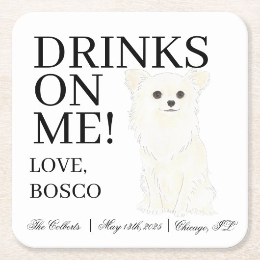 ホワイトロングフォールド結婚チワワ スクエアペーパーコースター (正面)