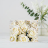 ホワイトローズエレガンス ポストカード (スタンド正面)