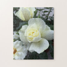 ホワイトローズガーデン写真