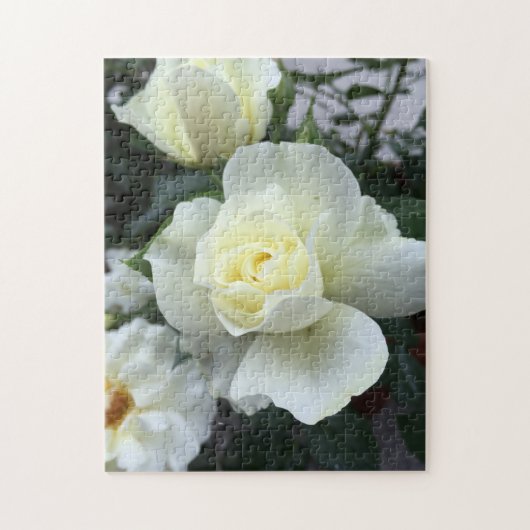 ホワイトローズガーデン写真 ジグソーパズル (縦)