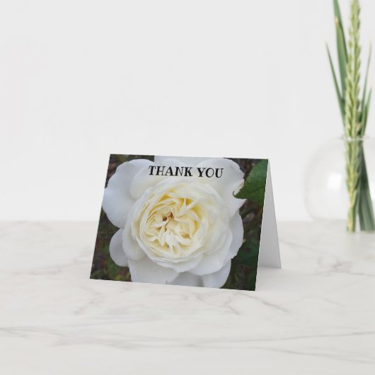 ホワイトローズサンキューカード サンキューカード (正面)