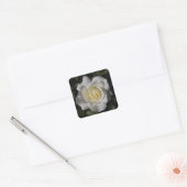 ホワイトローズシール スクエアシール (封筒)