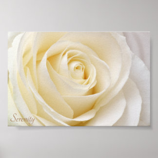 ホワイトローズセレニティ ポスター