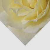 ホワイトローズティッシュペーパー 薄葉紙 (詳細)