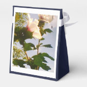 ホワイトローズネイビーブルー フェイバーボックス (裏面サイド)