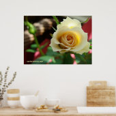 ホワイトローズバド ポスター (キッチン)