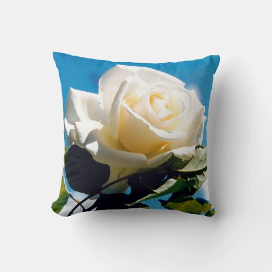  ホワイトローズビューティ  クッション (正面)