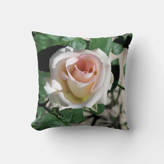 ホワイトローズピンクセンターピロー16 x 16" クッション (正面)