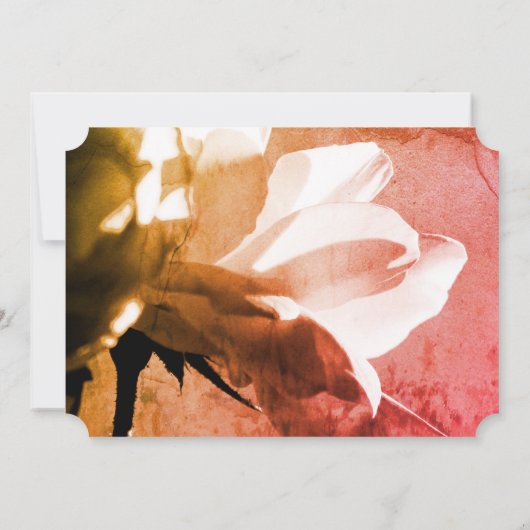 ホワイトローズフォーエバーズハートメモリアル 招待状 (裏面)