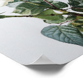 ホワイトローズフラワーアートプリントポスター ポスター (角)